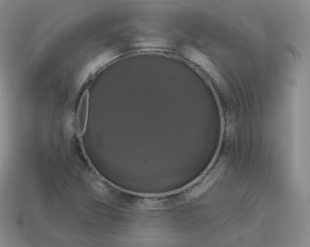 X0000113281357200910130957