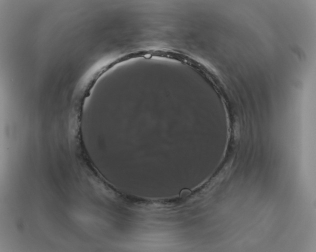 X0000113281359200910130957