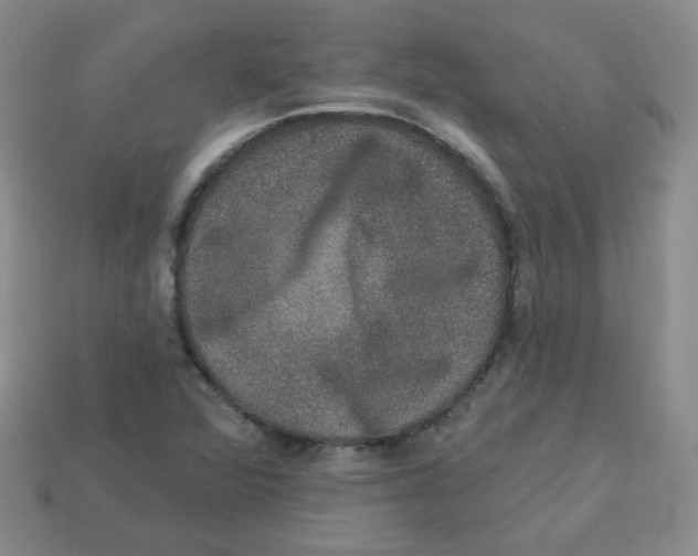 X0000113281360200910130956