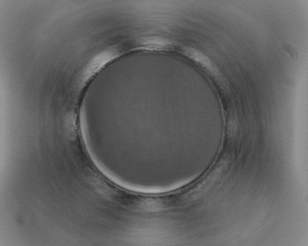 X0000113281362200910130956