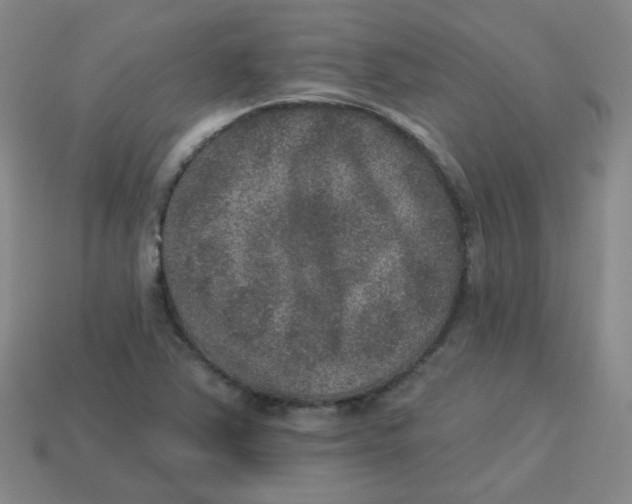 X0000113281363200910130956