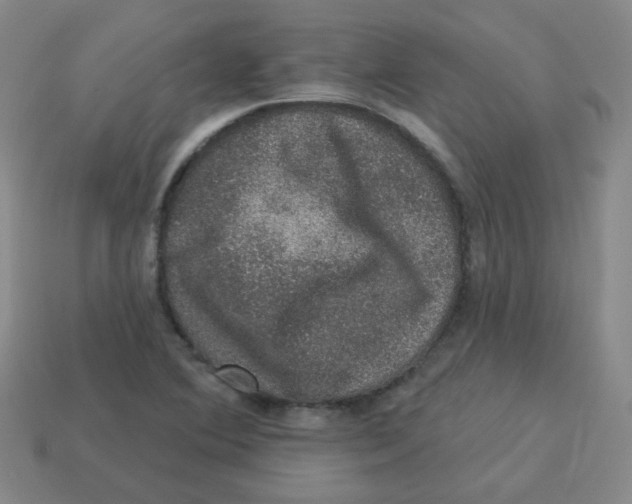 X0000113281364200910130956