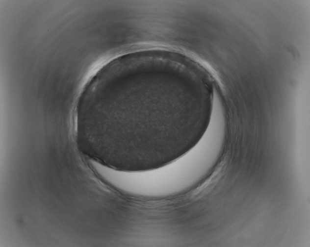 X0000113281365200910130956