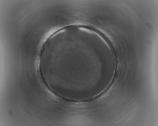 X0000113281367200910130956