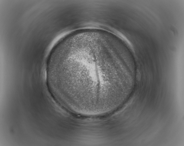 X0000113281368200910130956