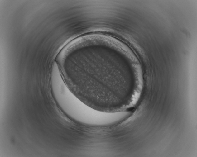 X0000113281369200910130956