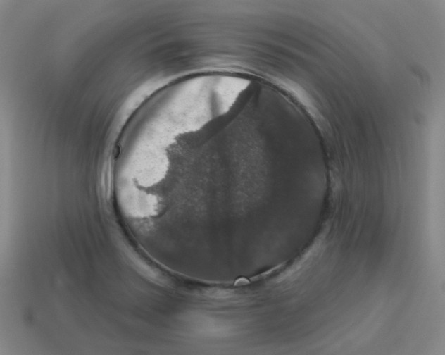 X0000113281371200910130956