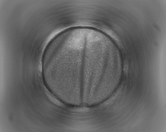 X0000113281372200910130956