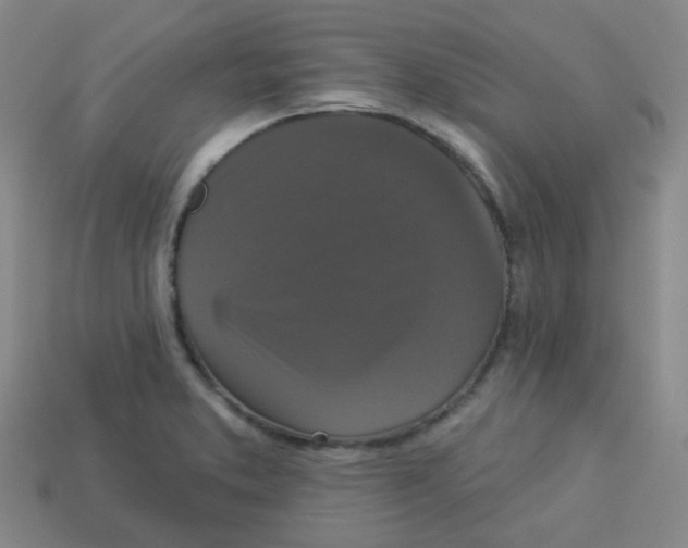 X0000113281373200910130956