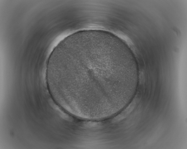 X0000113281374200910130956