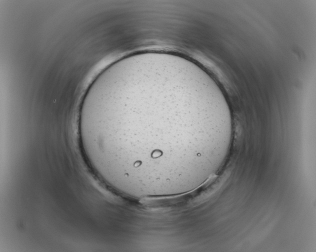 X0000113281375200910130956