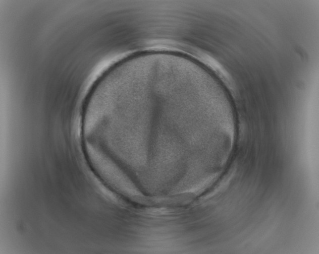 X0000113281376200910130956