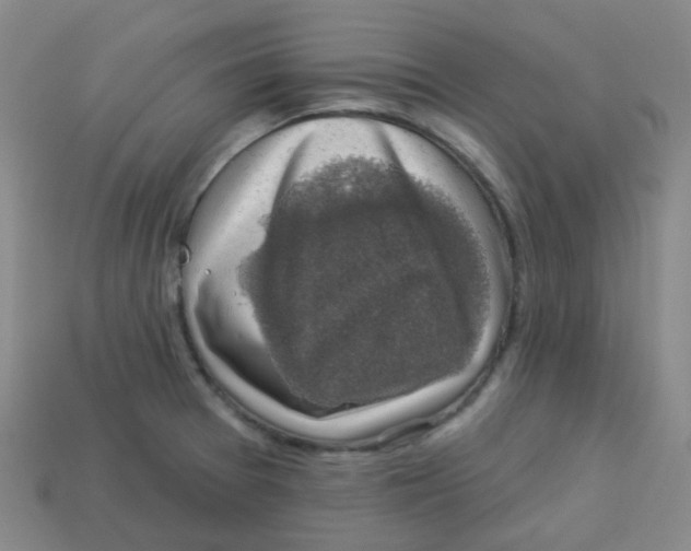 X0000113281377200910130956