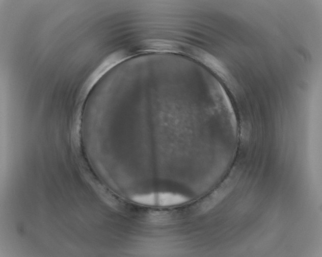 X0000113281378200910130956