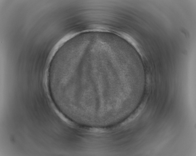 X0000113281379200910130956