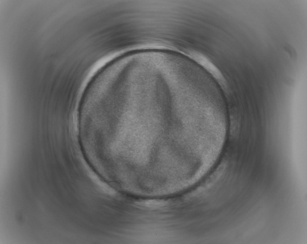 X0000113281380200910130956