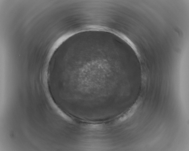 X0000113281381200910130956