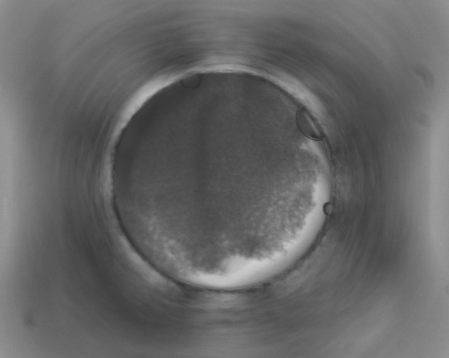 X0000113281382200910130956