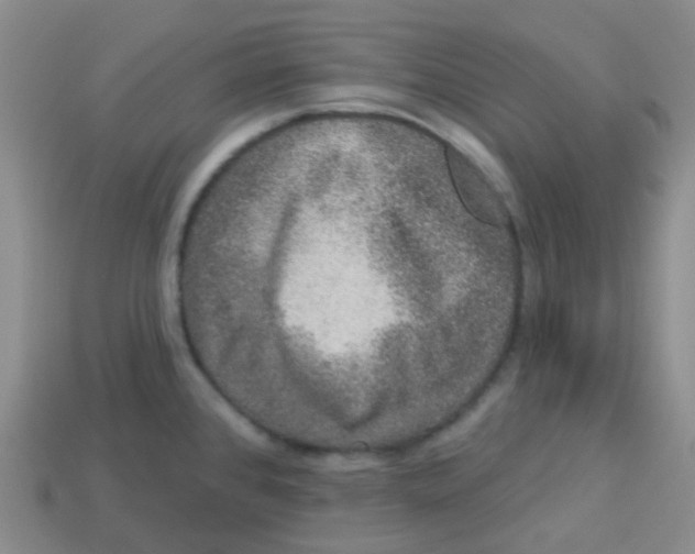 X0000113281384200910130956