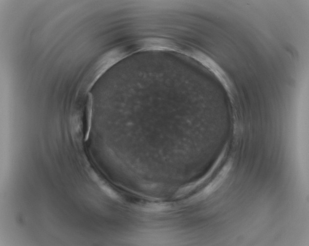 X0000113281385200910130956