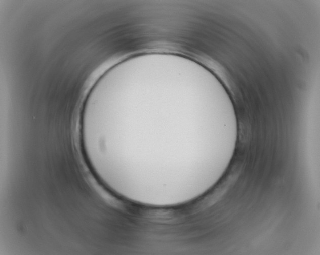 X0000113281387200910130956