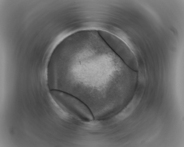 X0000113281388200910130956