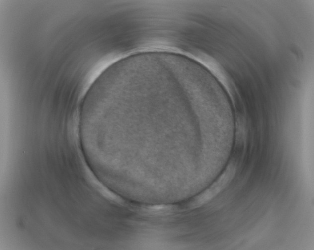 X0000113281390200910130956