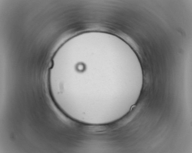 X0000113281391200910130956