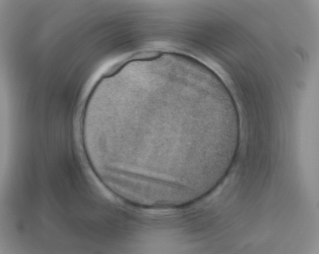 X0000113281392200910130956