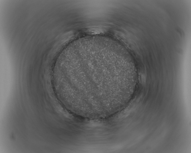 X0000113281393200910130955