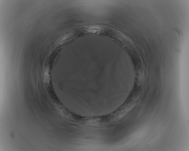 X0000113281394200910130955