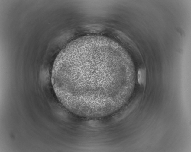 X0000113281395200910130955