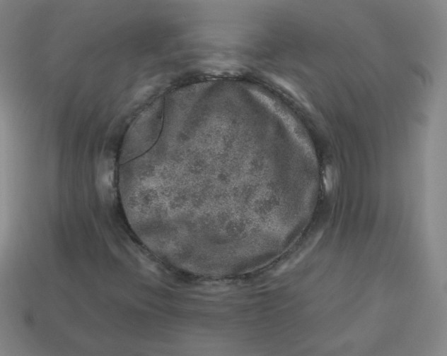 X0000113281396200910130956