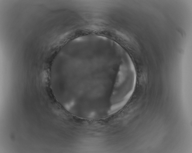 X0000113281397200910130956