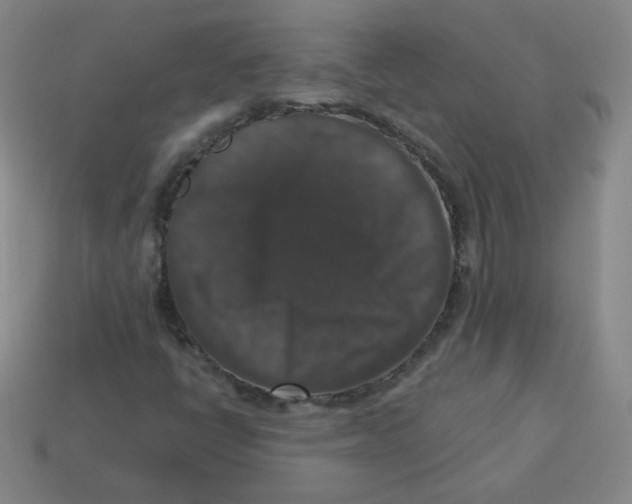 X0000113281398200910130956