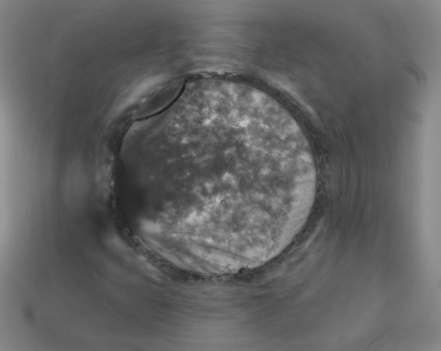 X0000113281399200910130956