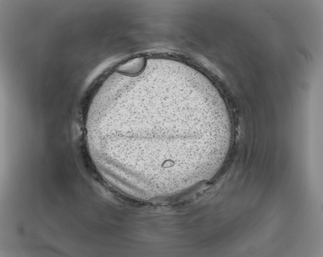 X0000113281400200910130956