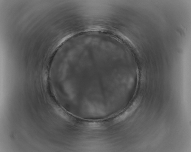 X0000113281401200910130956