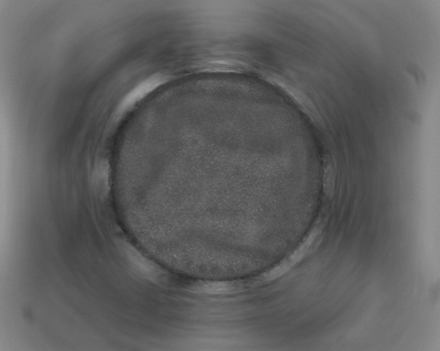 X0000113281402200910130956