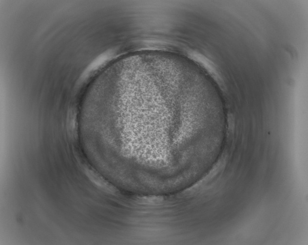 X0000113281403200910130956