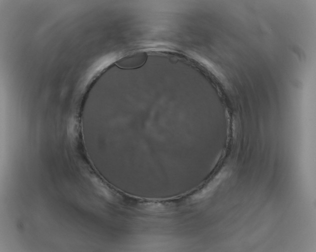 X0000113281405200910130956