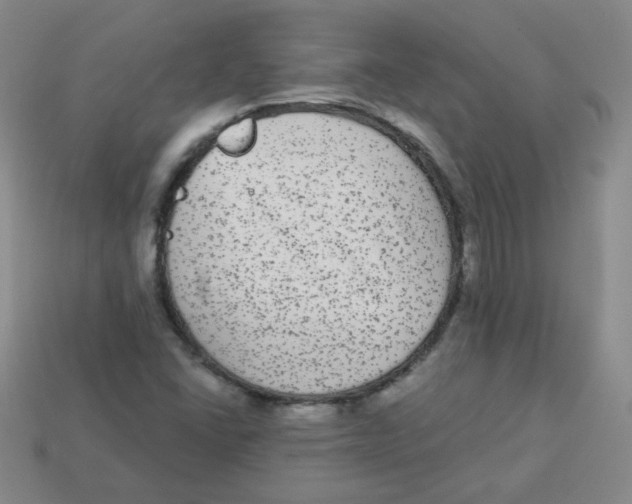 X0000113281406200910130956