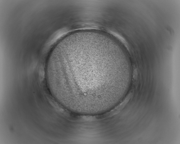 X0000113281407200910130956