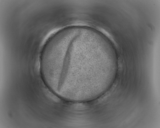 X0000113281408200910130956