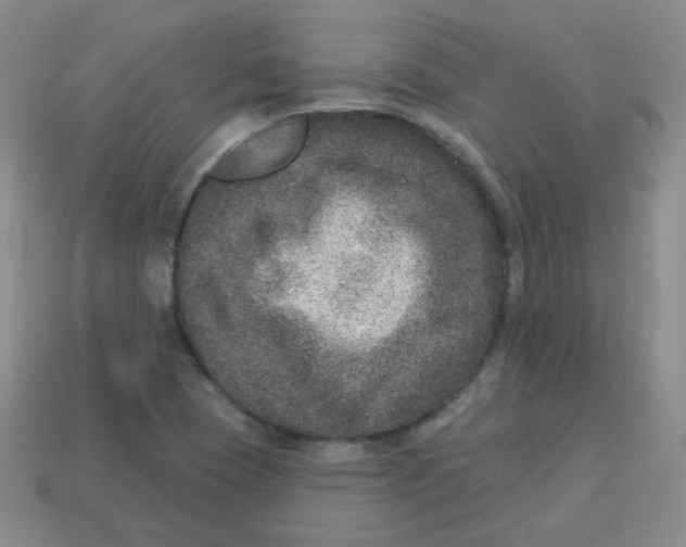 X0000113281409200910130956