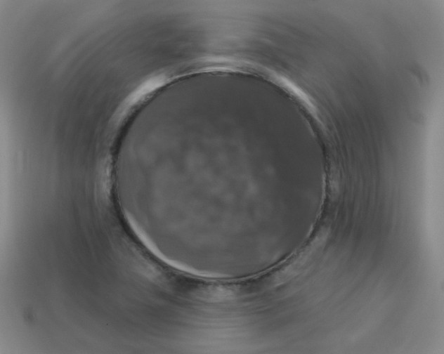 X0000113281411200910130956