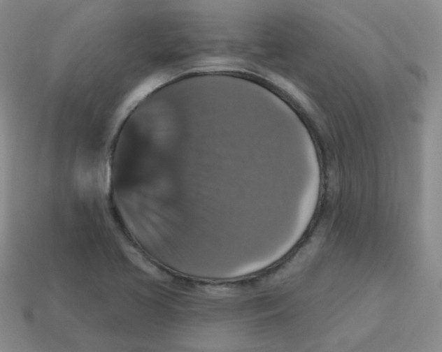 X0000113281413200910130956