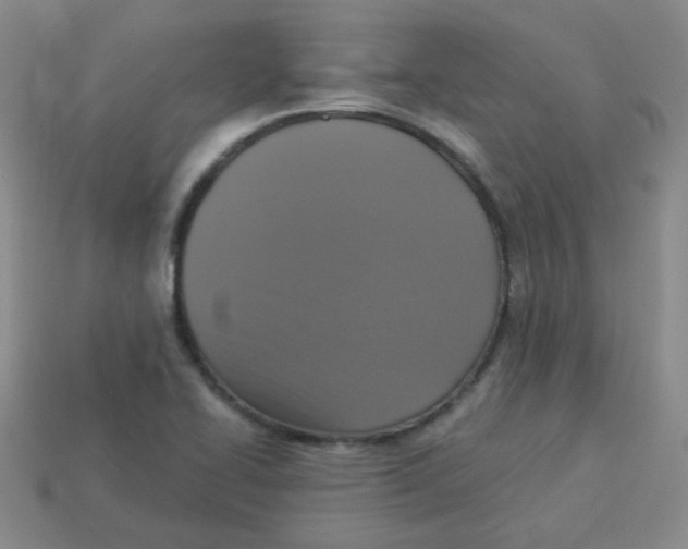 X0000113281414200910130956