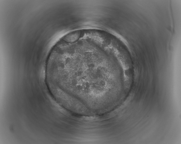 X0000113281415200910130956