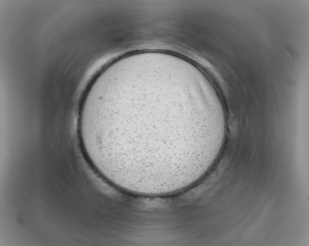 X0000113281416200910130956